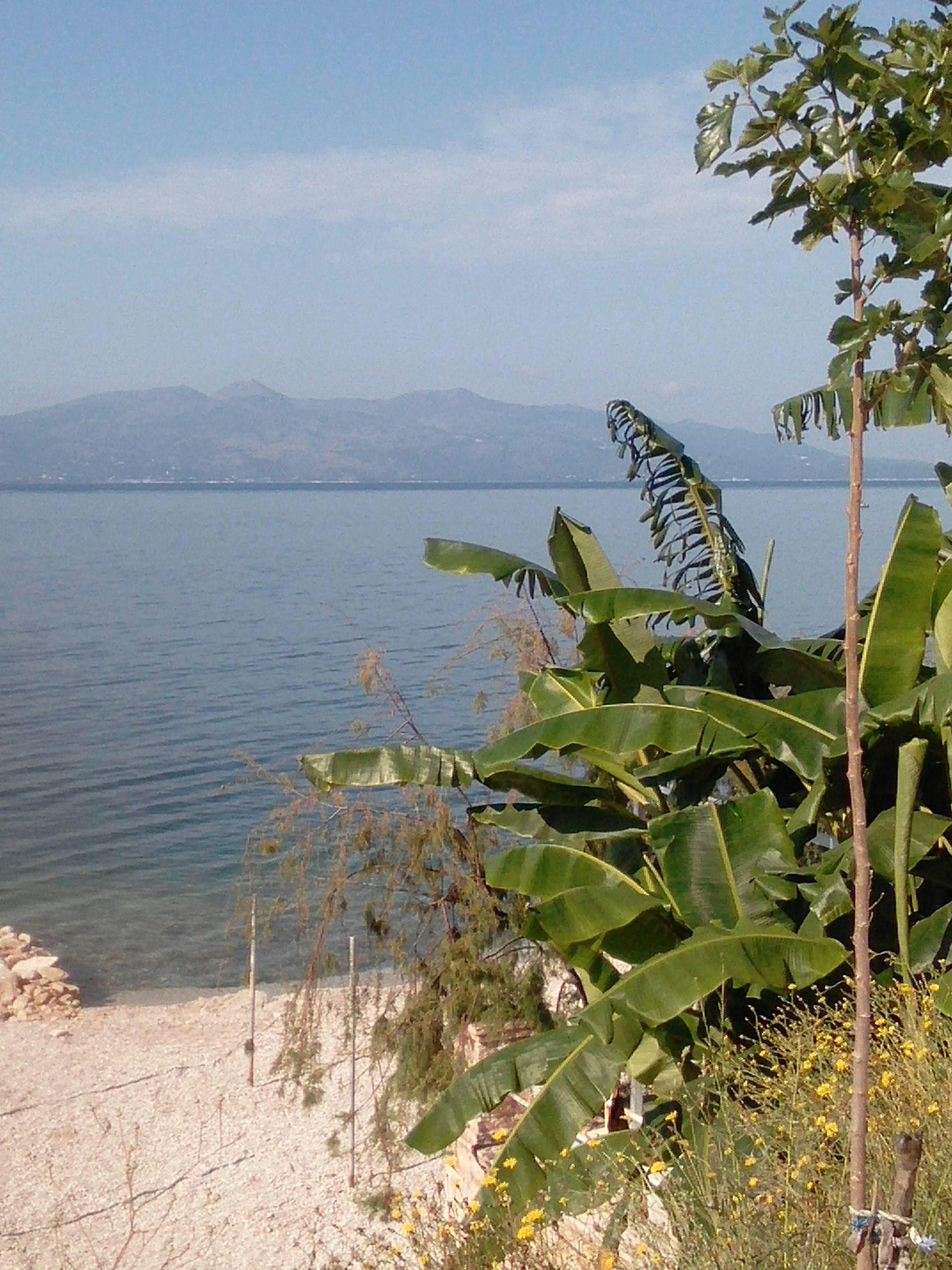 Ferry Corfou, Ksamil ou Saranda : quel accès choisir pour le sud de l’Albanie ?